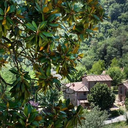 Norcenni Figline Valdarno